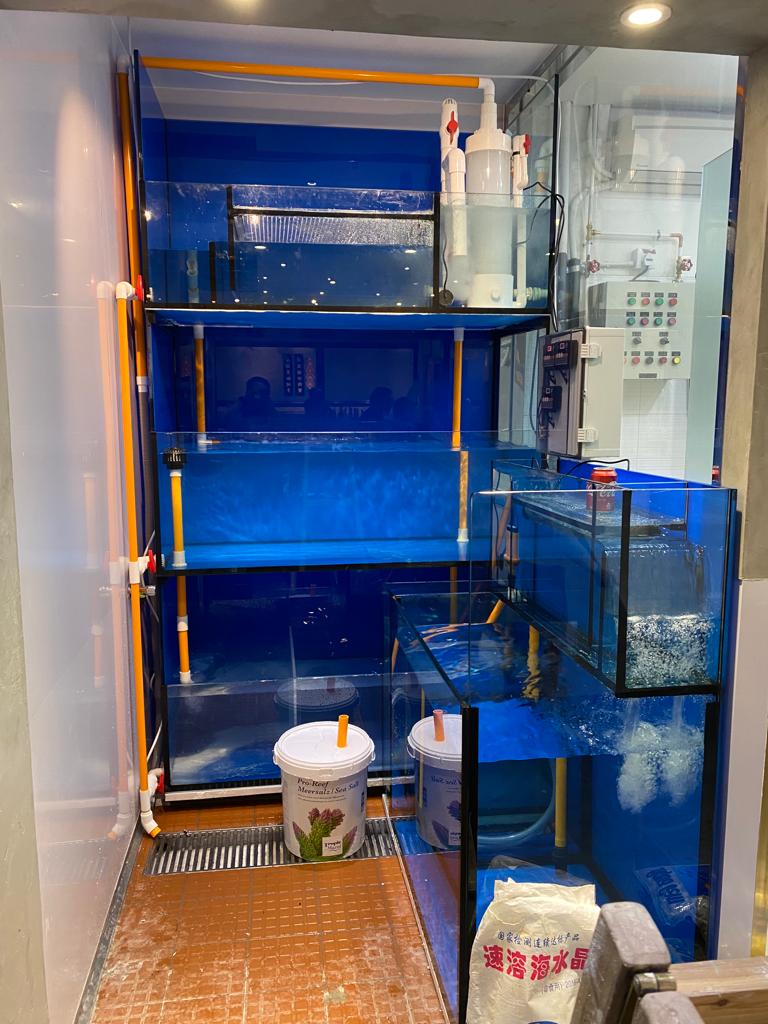 旺角火鍋店開放式海鮮展示缸工程案例