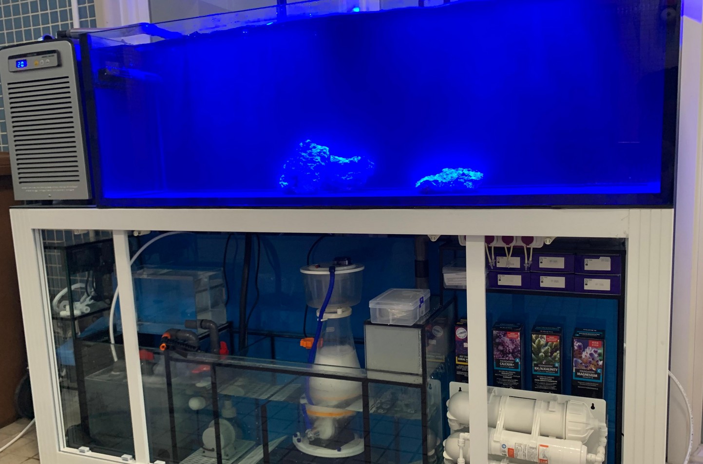 魚缸工程查詢 - 佳運水族工程現場施工