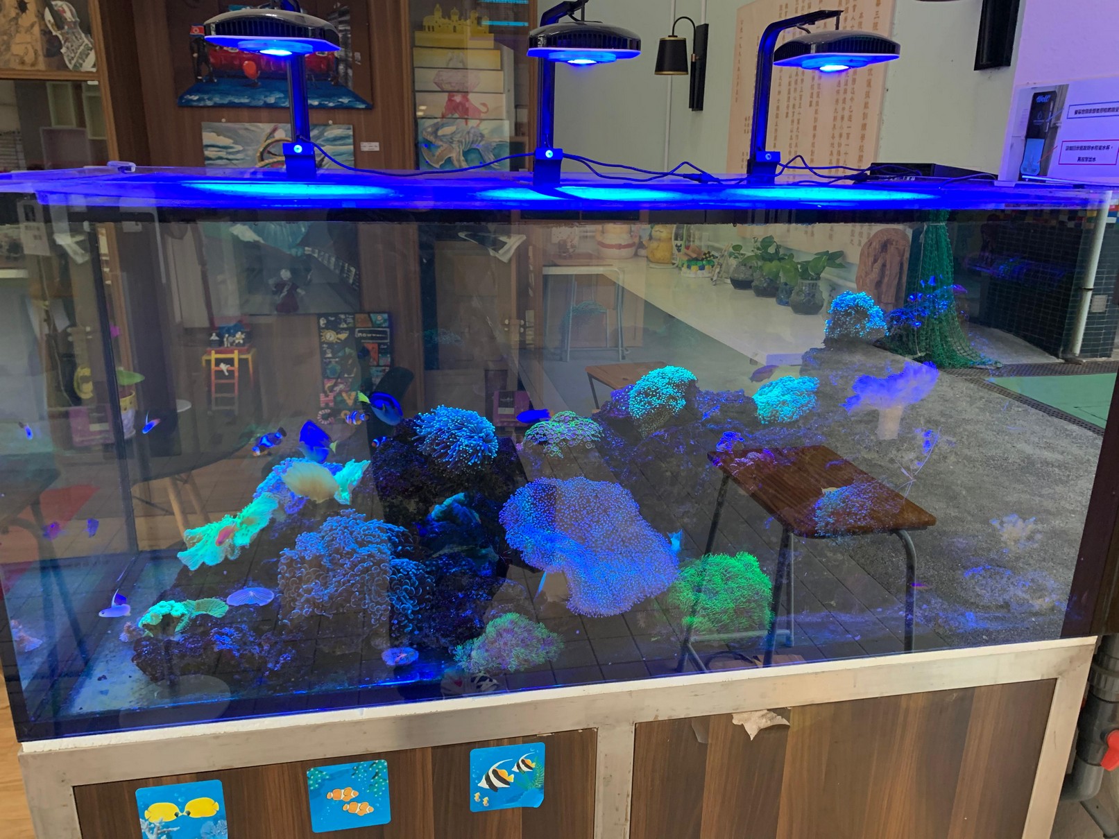 香港專業魚缸工程 - 佳運水族工程大型海鮮魚缸安裝