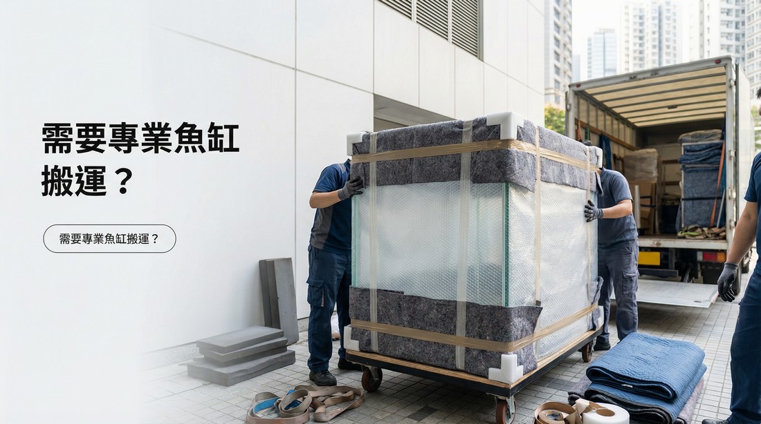 查詢魚缸搬運服務 - 佳運水族工程專業搬魚缸