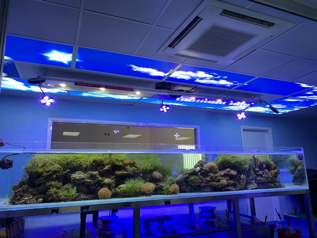 開放辦公區休息區桌面魚缸 — 水草造景小型觀賞魚缸減壓療癒