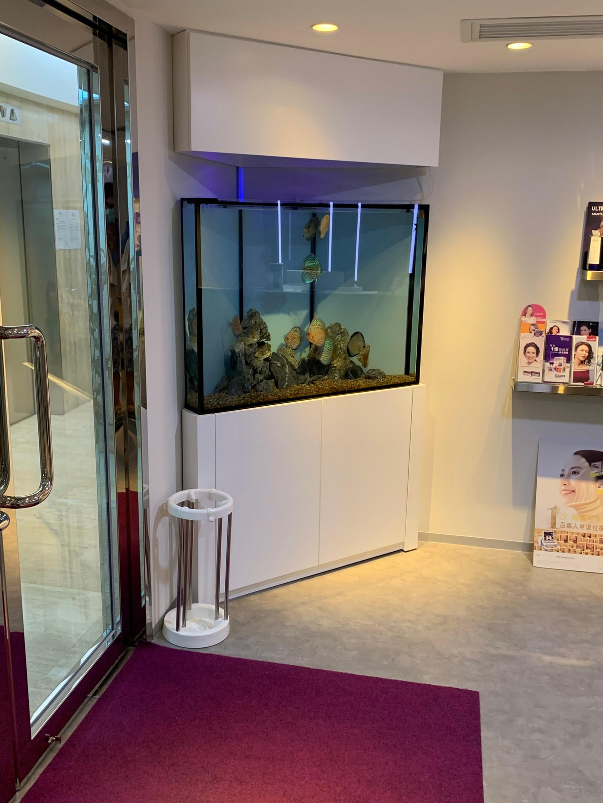 中環金融公司前台弧形辦公室魚缸案例