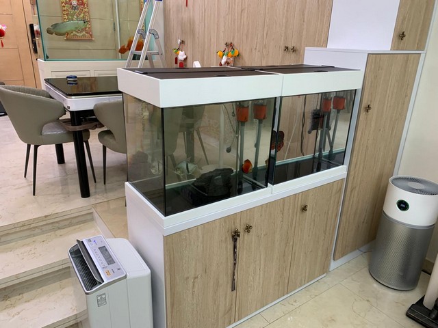 將軍澳住宅玄關風水魚缸案例