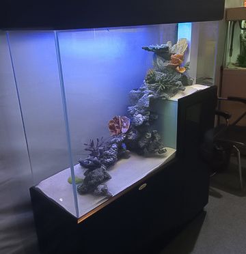 B0441236-201C-4777-939A-AE554702AA93