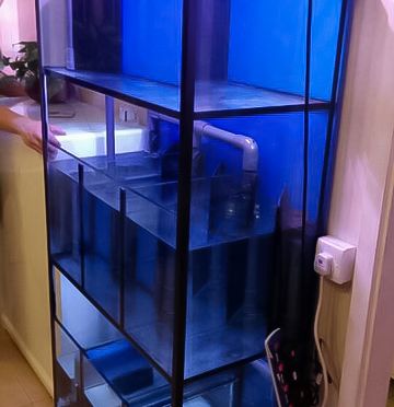 ED98B508-3FC2-46EC-B3BF-3B3E05B2F645