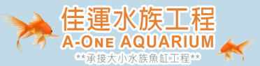A-one Aquarium